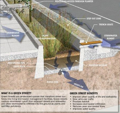 bioswale illustration.jpg