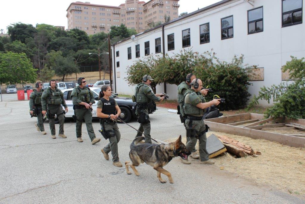 K9 training pasadena