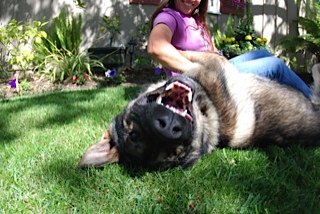 Jager enjoying a belly rub