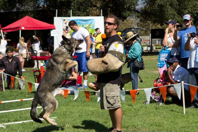 Yudy at Wiggle Waggle