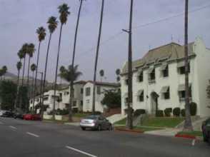 photo of street with palm trees