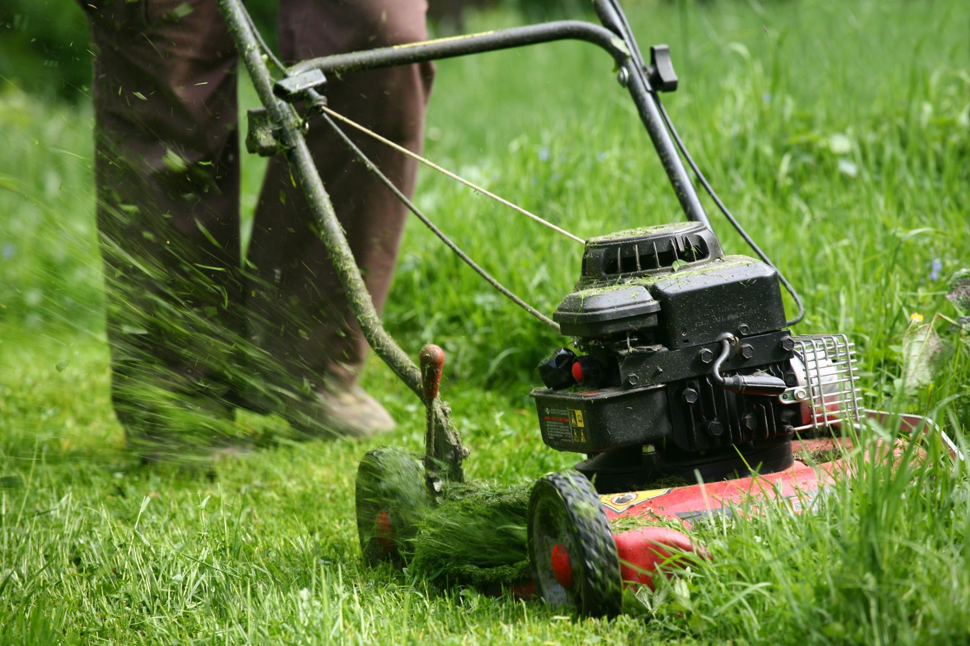 Park Maintenance_AdobeStock_22998527