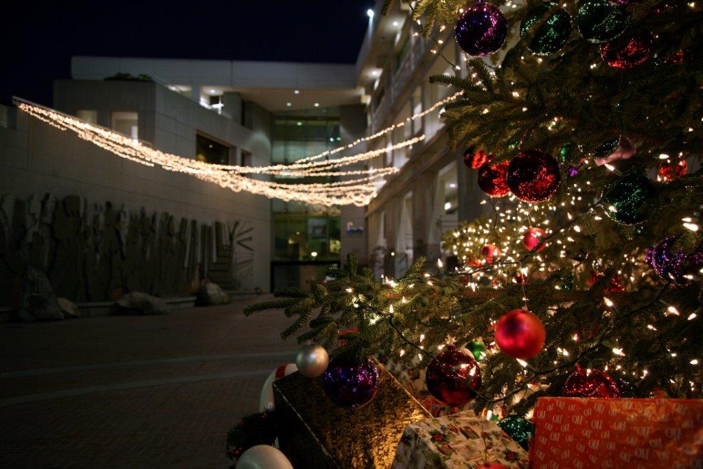 Holiday Tree Lighting