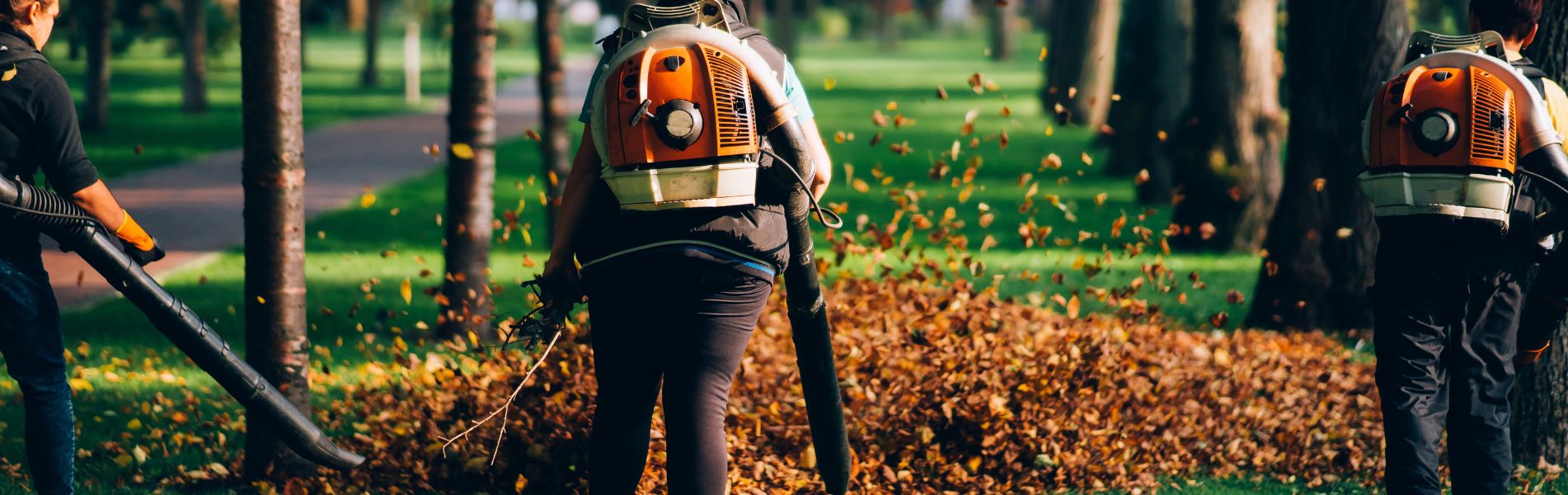 leaf blower users